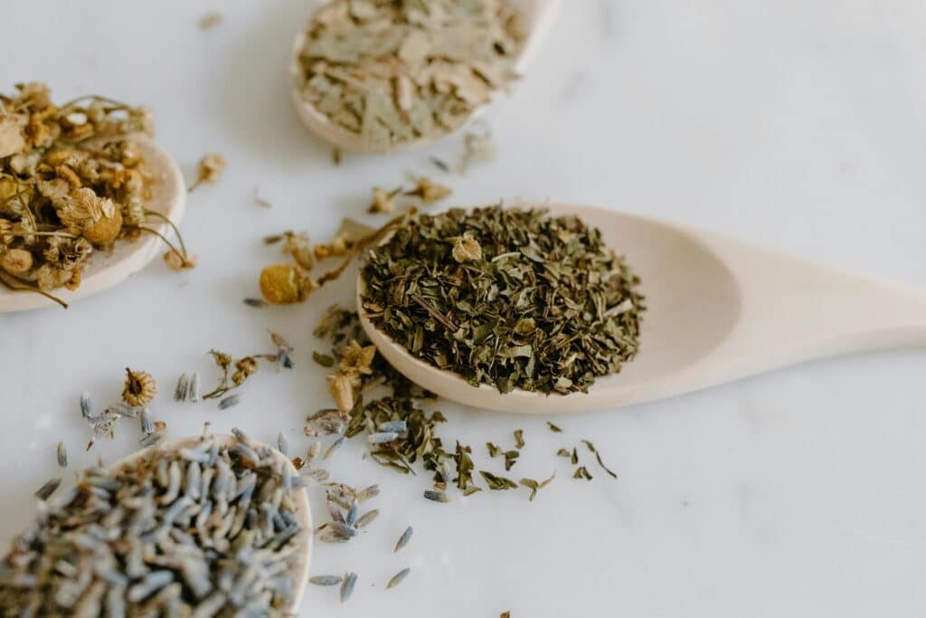 herbal remedies for immune system support