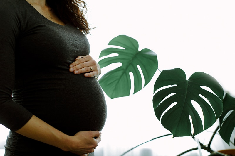 Pregnant person holding their belly beside large green leaves.